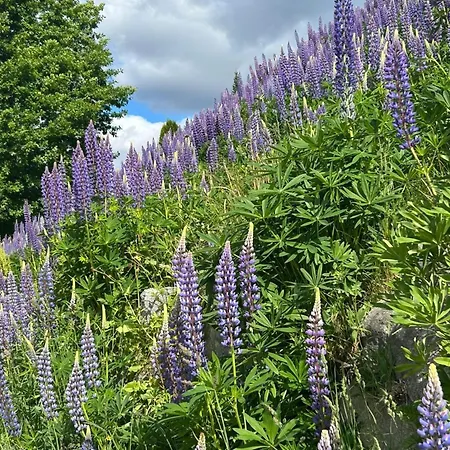 Robelia Nyaraló Noresund